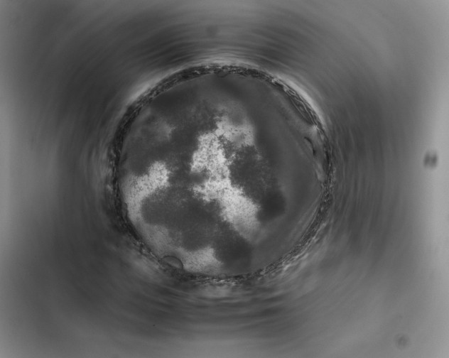 X0000102510823200808221815