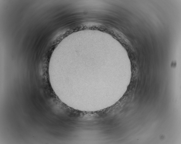 X0000102510824200808221815