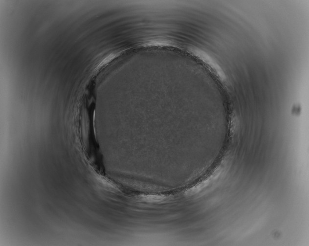 X0000102510825200808221815