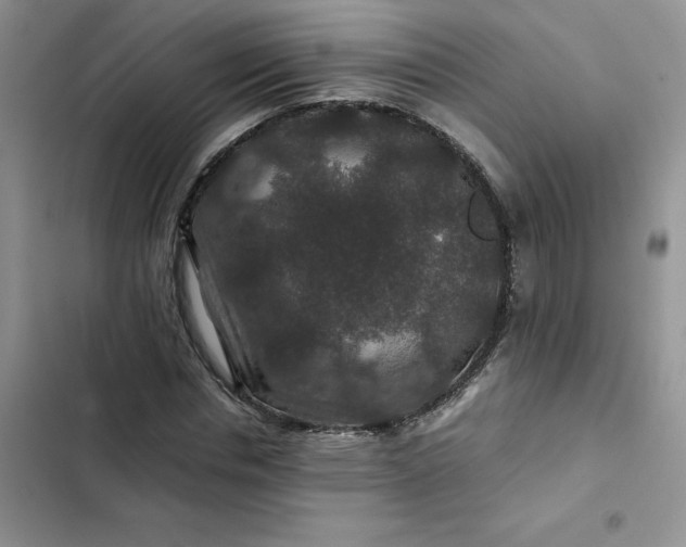 X0000102510826200808221815
