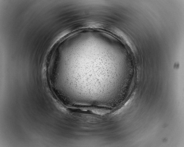 X0000102510827200808221815