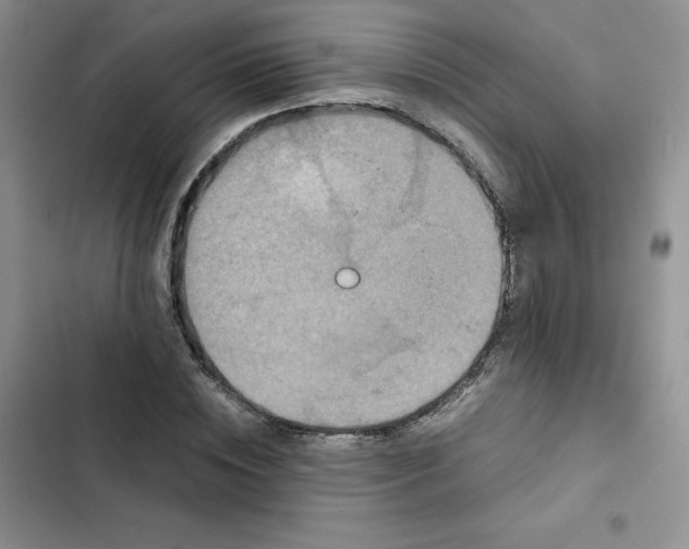 X0000102510828200808221815