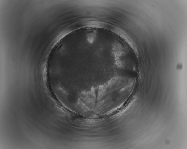 X0000102510829200808221815