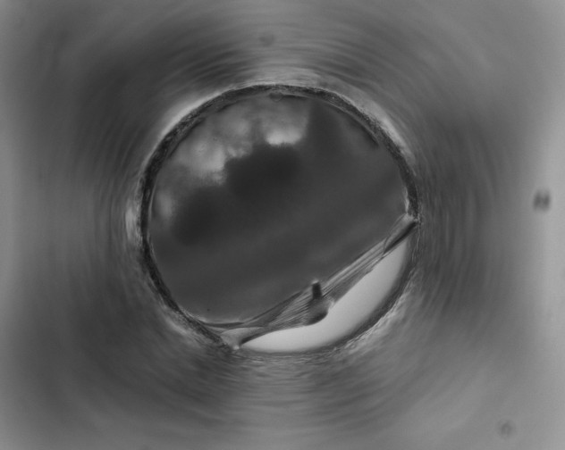 X0000102510830200808221815