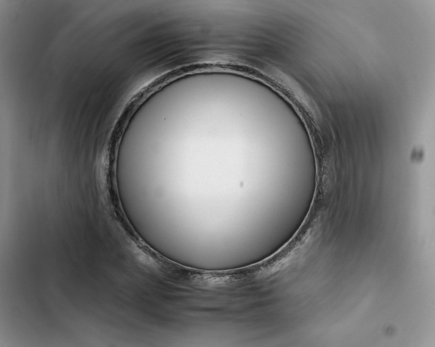 X0000102510831200808221815