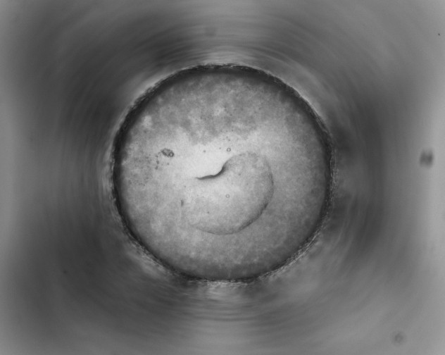 X0000102510832200808221815
