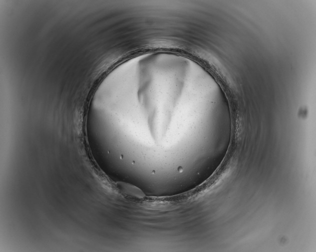 X0000102510833200808221815