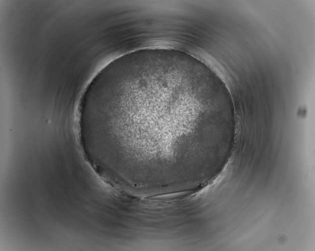 X0000102510835200808221815