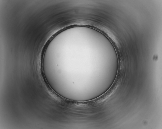 X0000102510837200808221815
