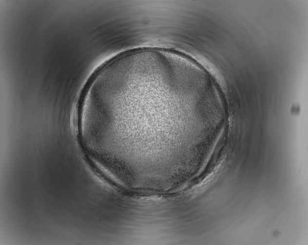 X0000102510838200808221815