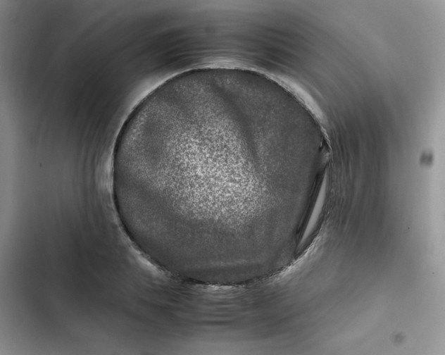X0000102510839200808221815