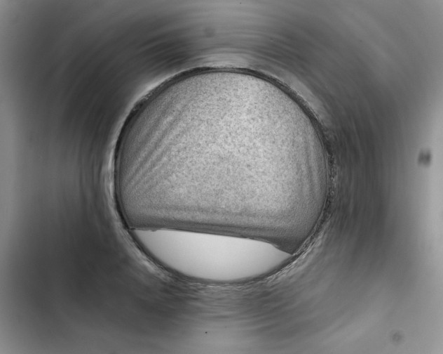 X0000102510840200808221815