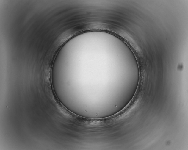 X0000102510841200808221815