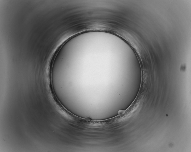 X0000102510843200808221815