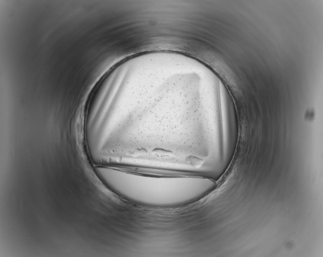X0000102510844200808221816