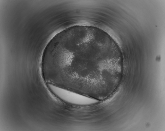 X0000102510845200808221816