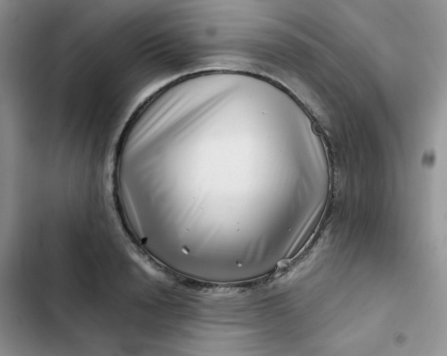 X0000102510846200808221816