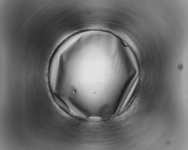 X0000102510847200808221816