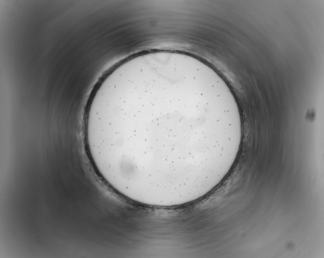 X0000102510848200808221816