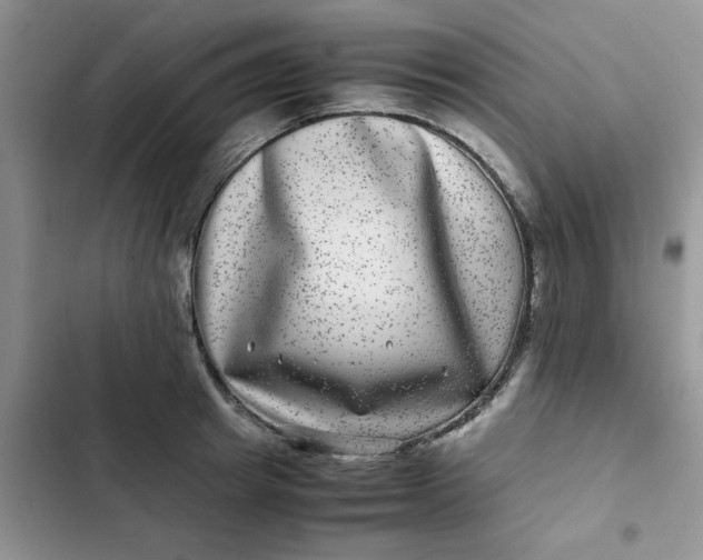 X0000102510849200808221816