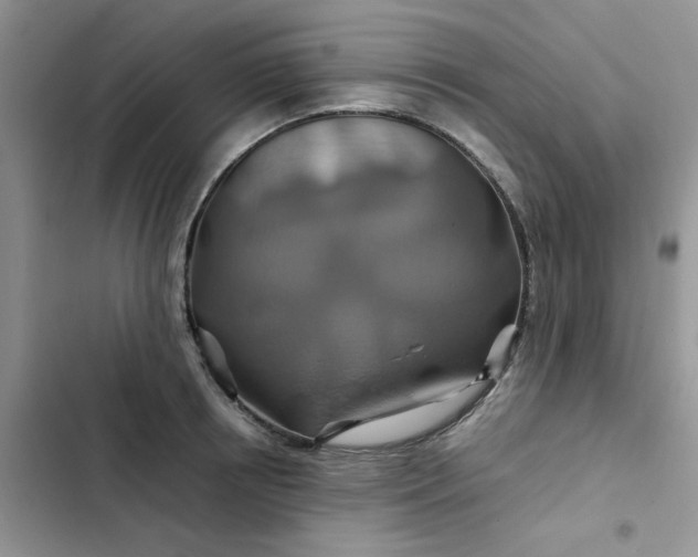 X0000102510850200808221816