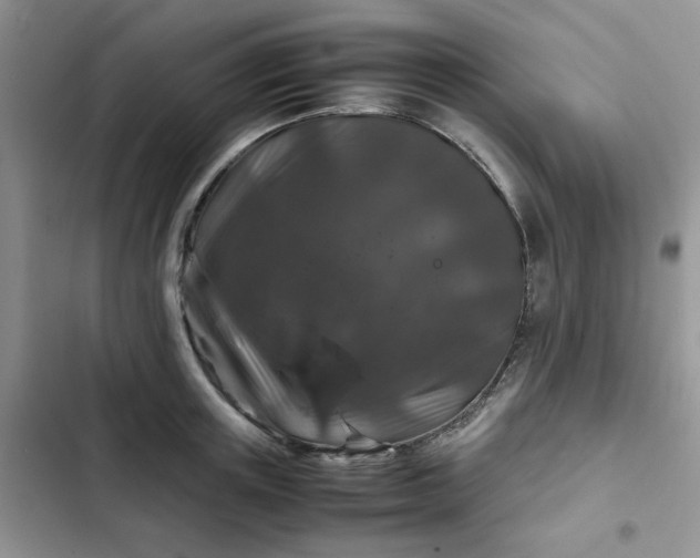X0000102510851200808221816