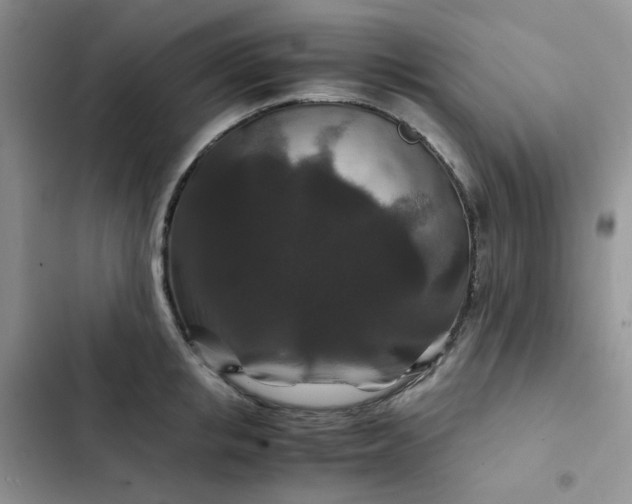 X0000102510853200808221816