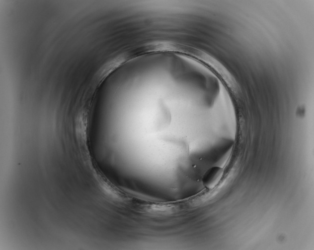 X0000102510857200808221816
