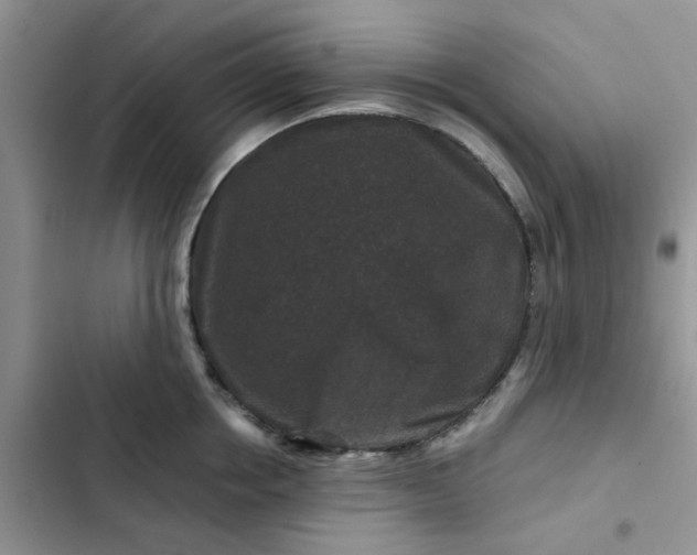 X0000102510858200808221816