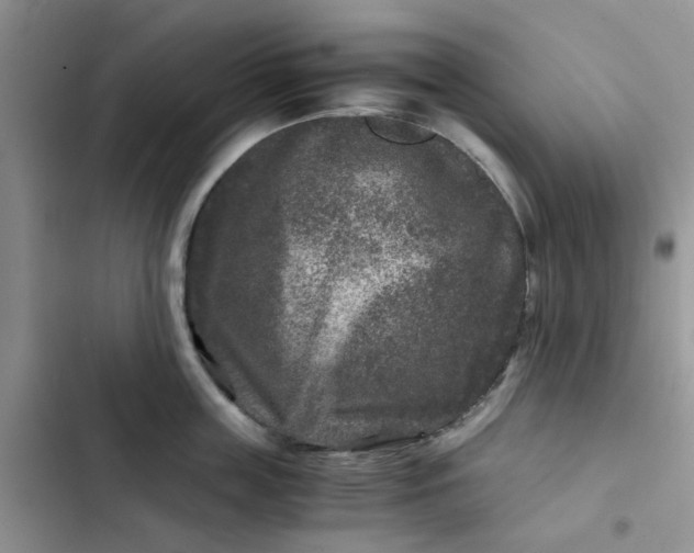 X0000102510859200808221816