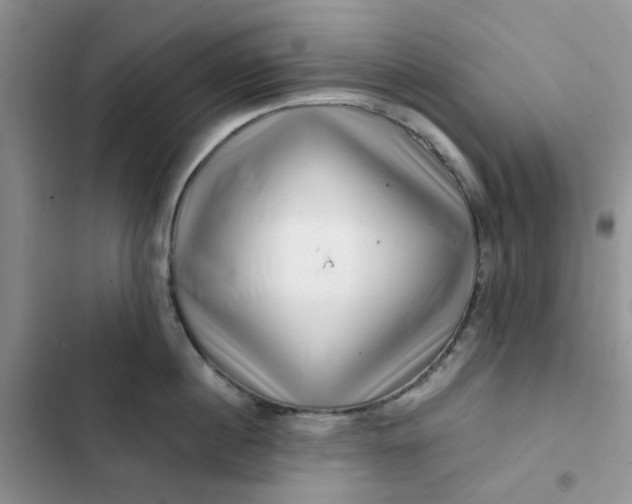 X0000102510860200808221816