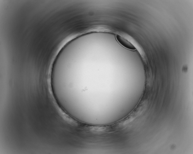 X0000102510861200808221816