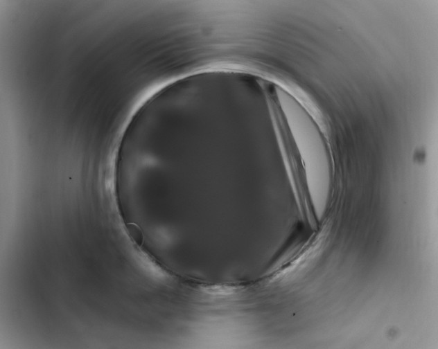 X0000102510862200808221816