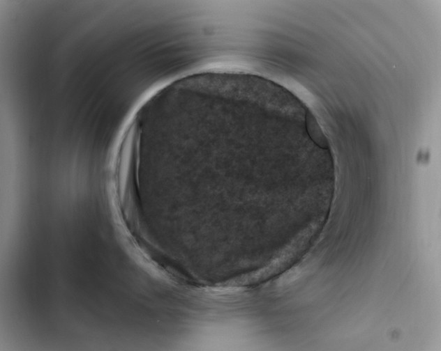 X0000102510864200808221816
