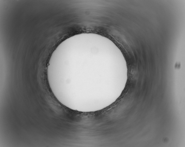 X0000102510865200808221815