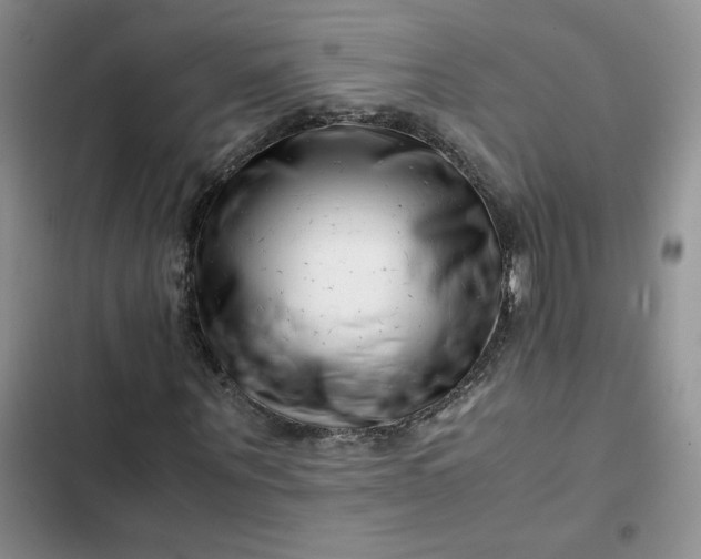 X0000102510867200808221815