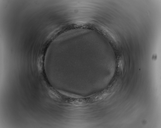 X0000102510868200808221815