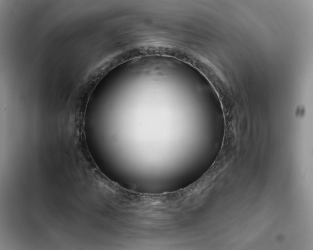 X0000102510870200808221815