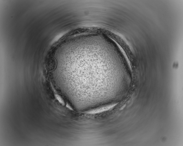 X0000102510871200808221815
