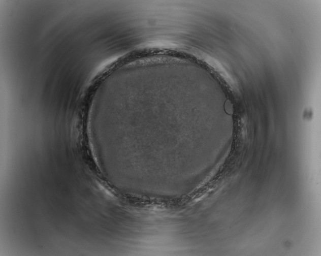 X0000102510872200808221815