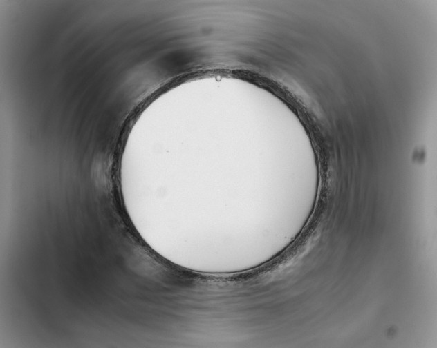 X0000102510873200808221815