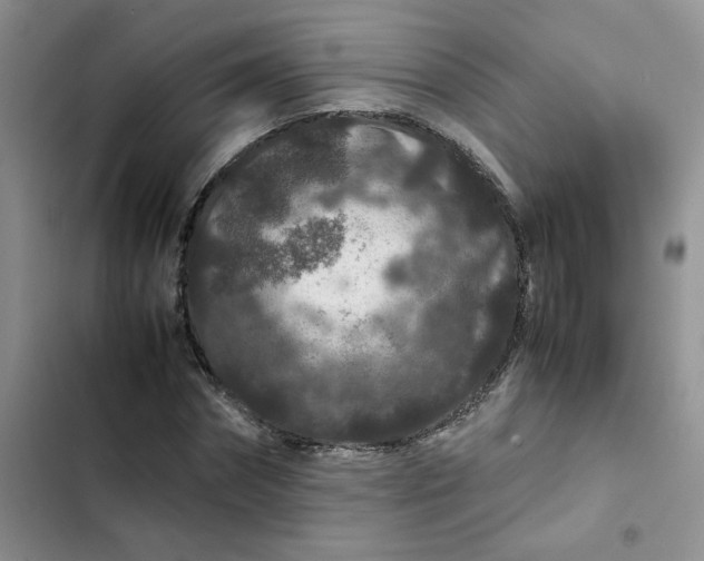 X0000102510874200808221815