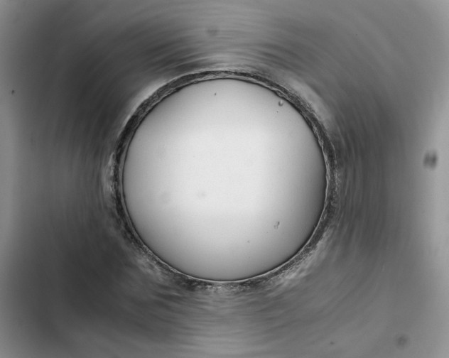 X0000102510875200808221815