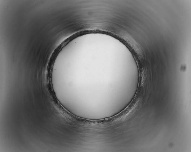 X0000102510876200808221815
