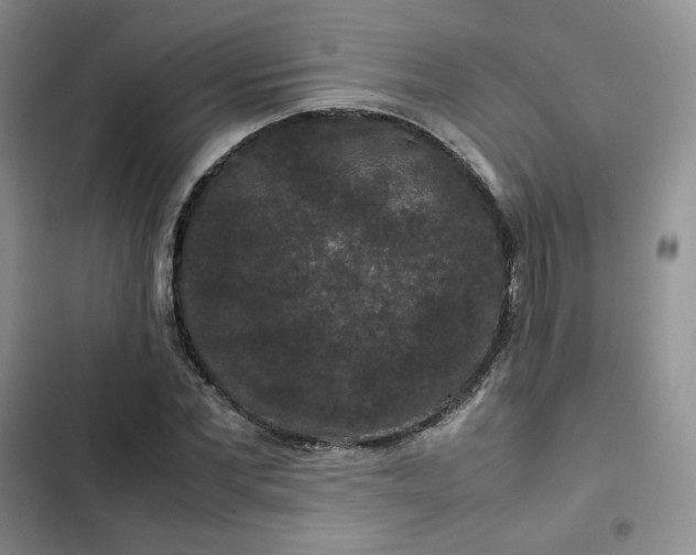 X0000102510877200808221815