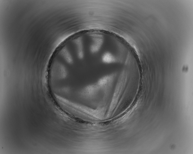 X0000102510879200808221815