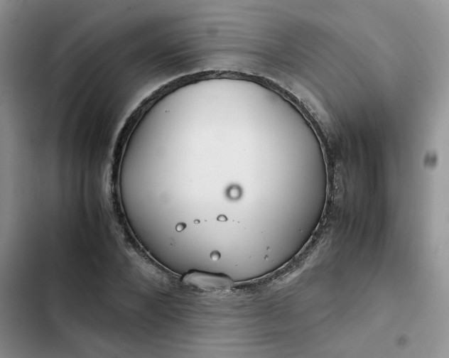 X0000102510880200808221815