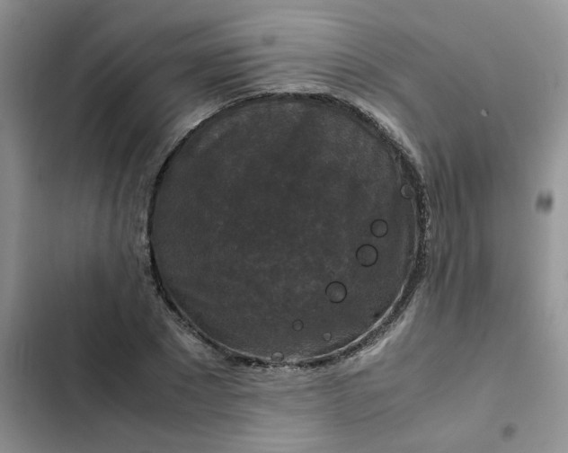 X0000102510881200808221815