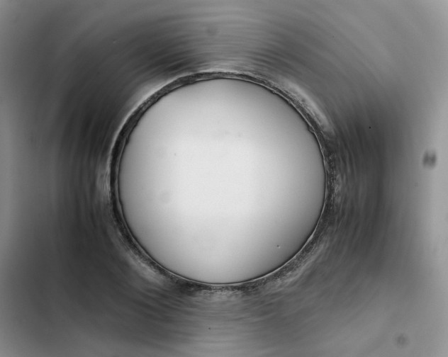 X0000102510884200808221815