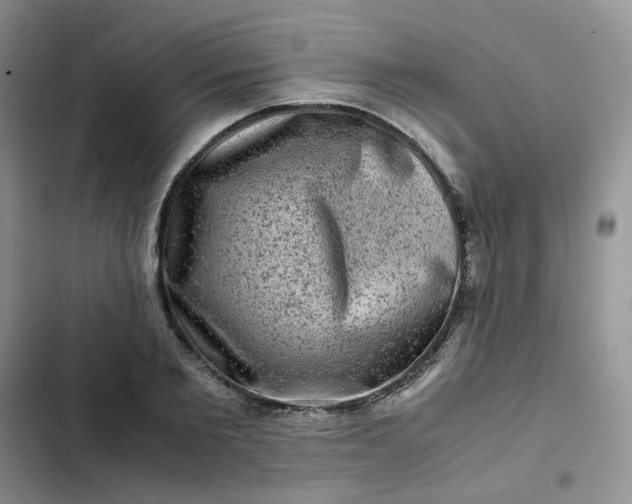 X0000102510885200808221815